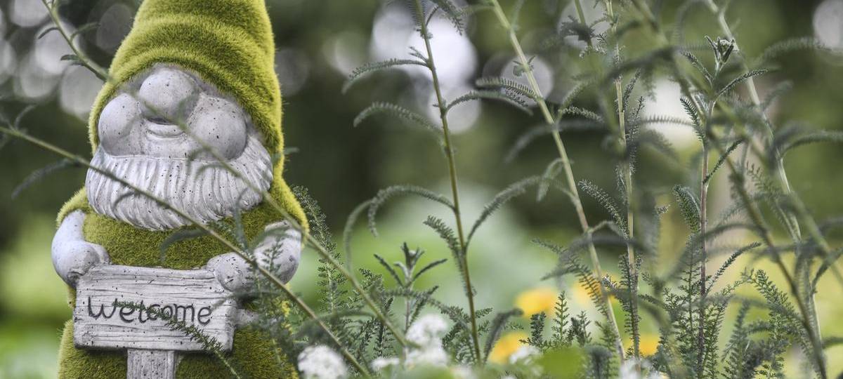 Täter brechen in Lauben an Weseler Kleingartenanlage ein