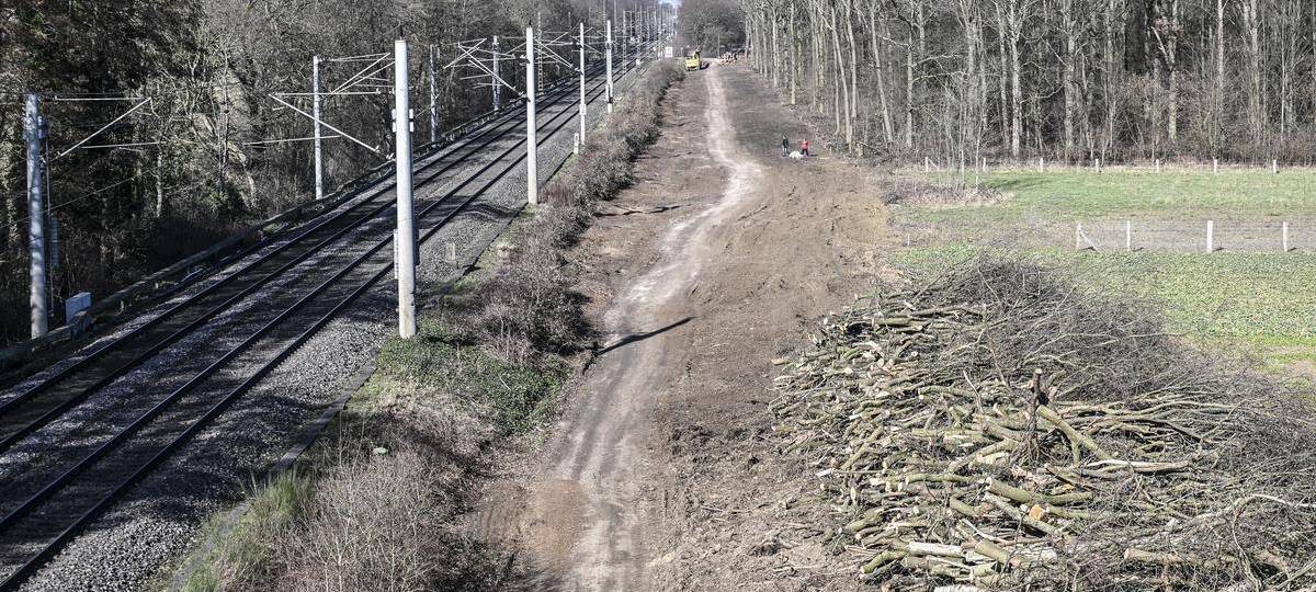 Schock nach Baumfällungen für Betuwe-Ausbau in Voerde