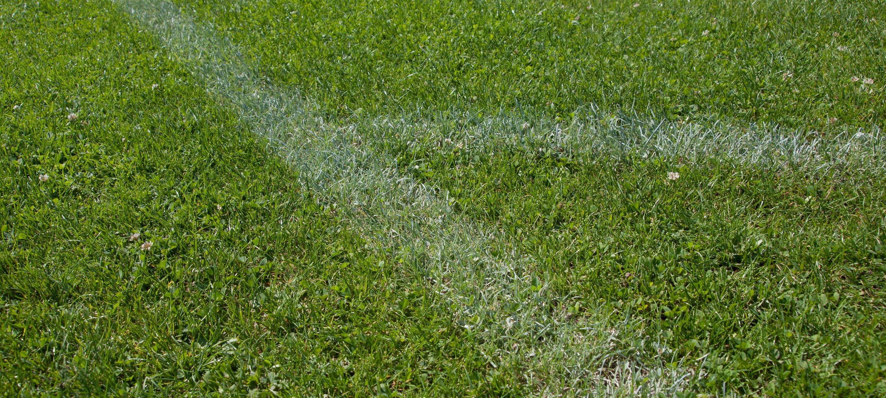 Schalke verkauft Rasenstücke vom Wiederaufstiegsspiel