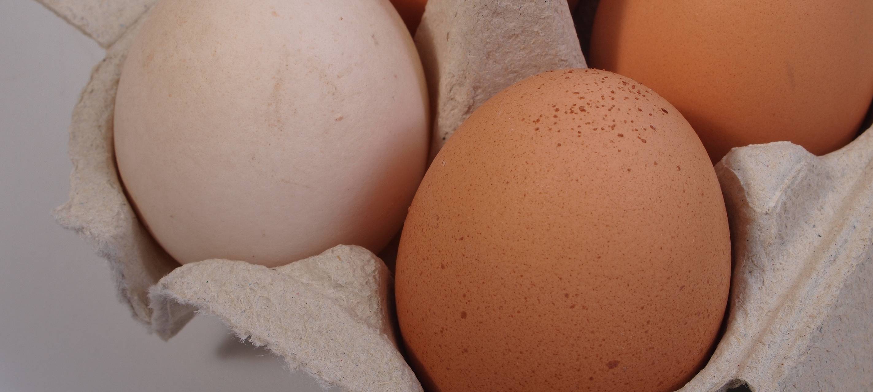 Landwirtschaftskammer: 250 Eier pro Kopf im Jahr