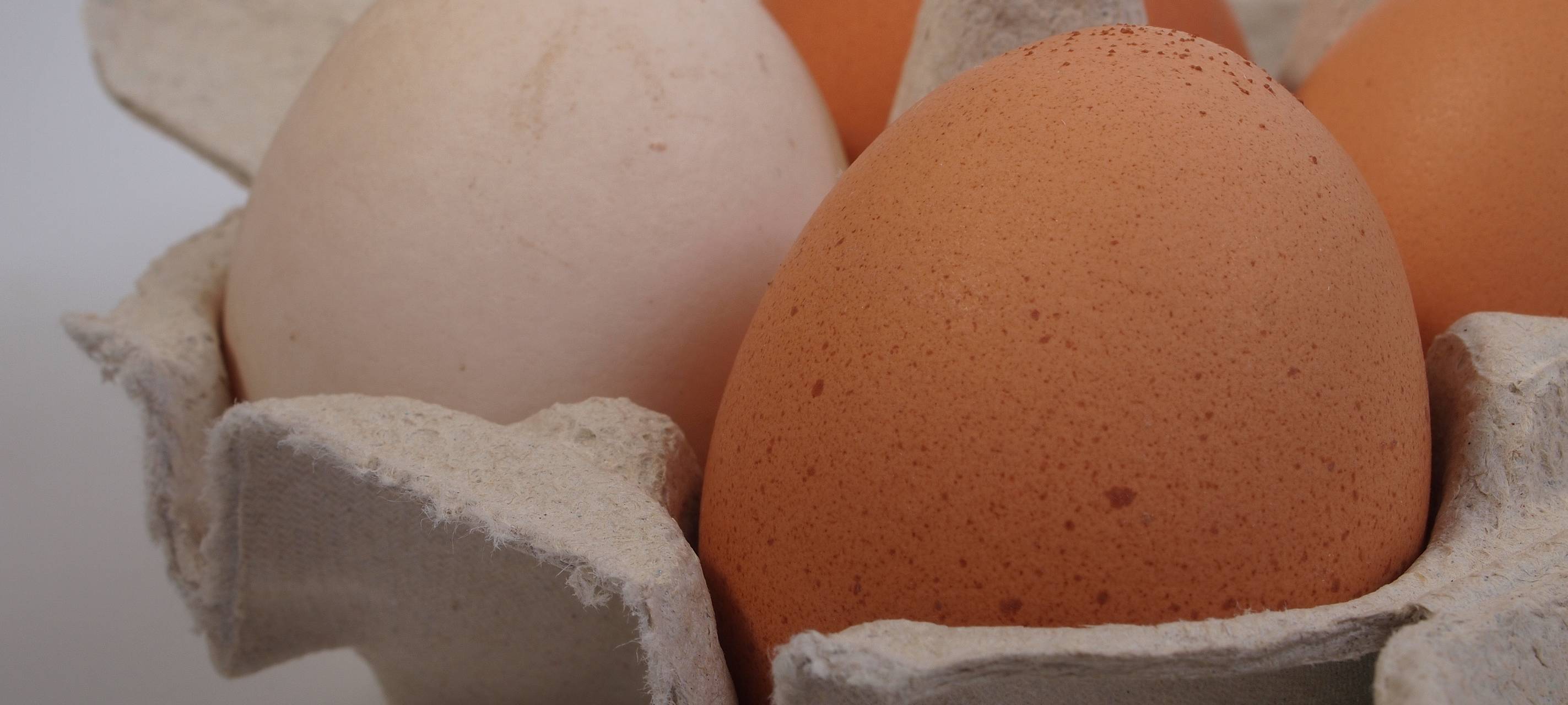 Unbekannte klauen 360 Eier aus Bäckerei in Moers