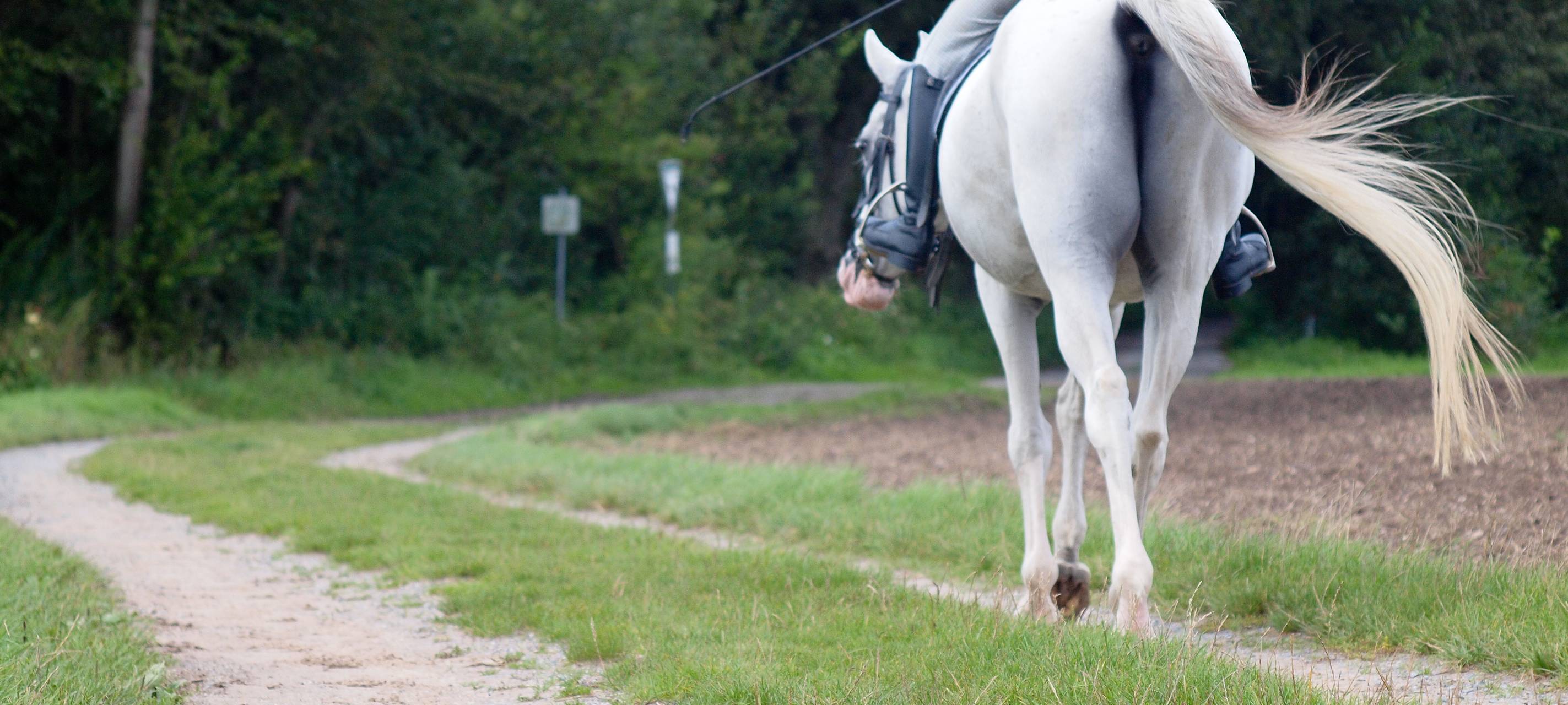 Reitwege in Dinslaken entlang des Rotbachs werden saniert