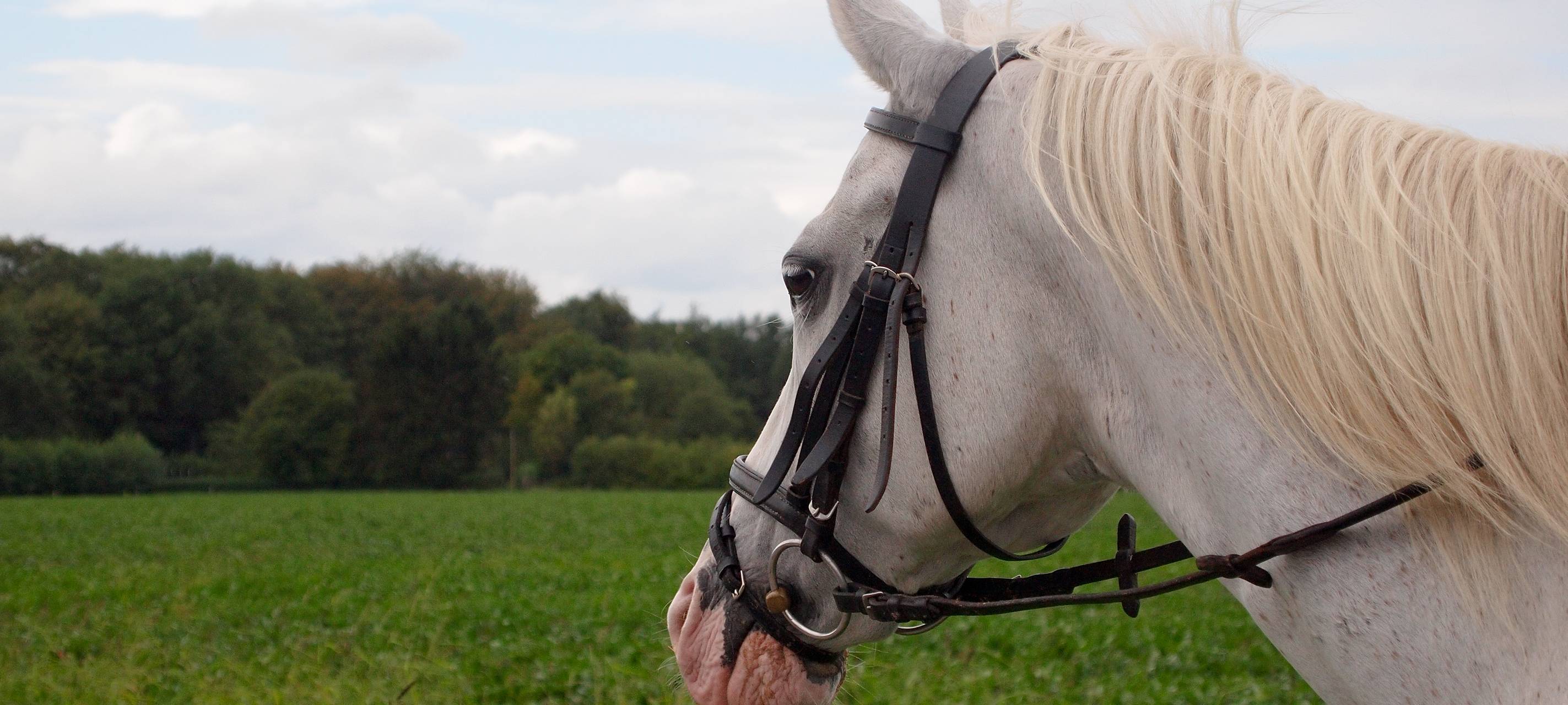 Sorge nach Facebook-Post in Hamminkeln ist unbegründet