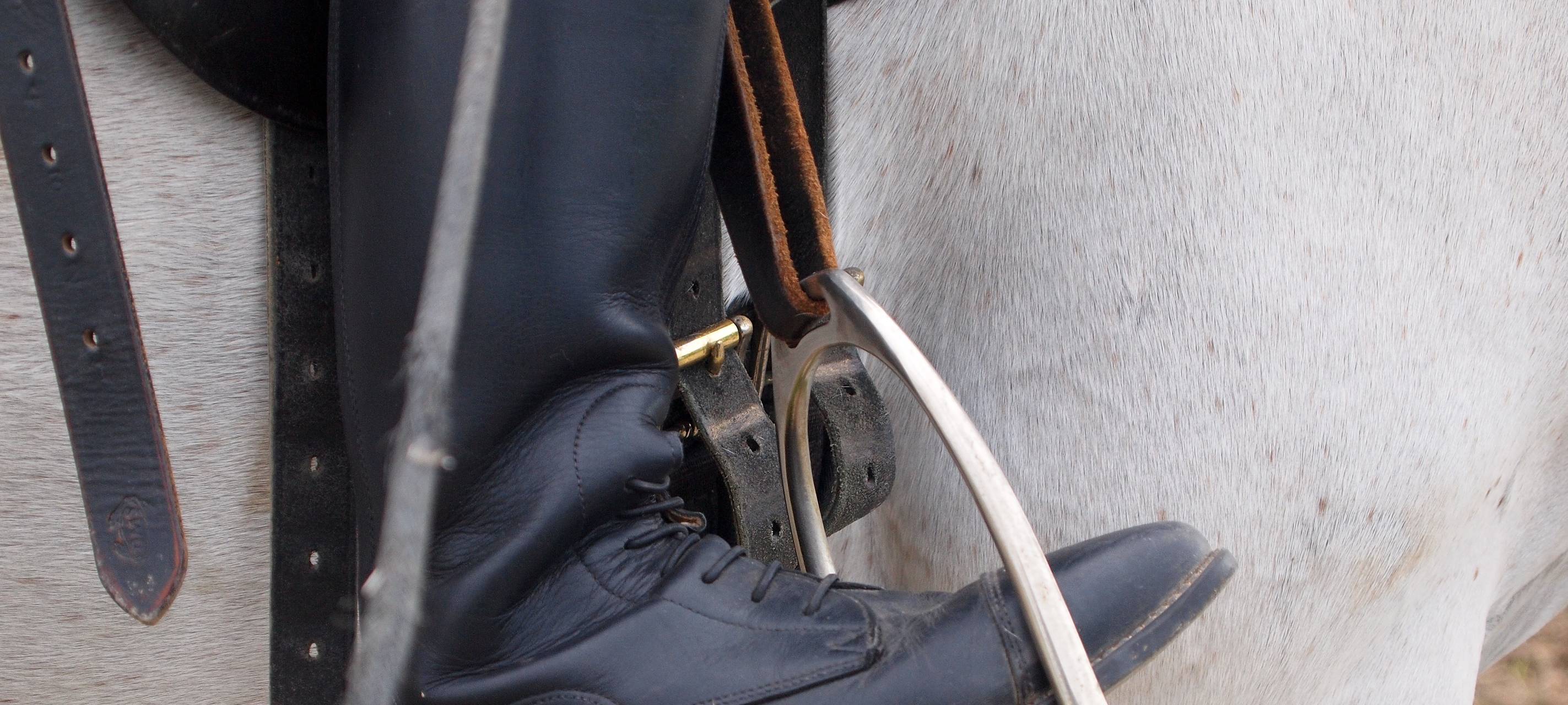 Pferd aus Voerde beschäftigt den Bundesgerichtshof