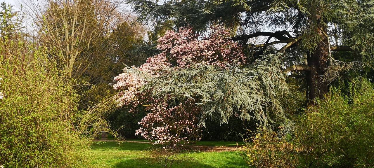 2. Tag der offenen Gärten findet morgen in Alpen statt