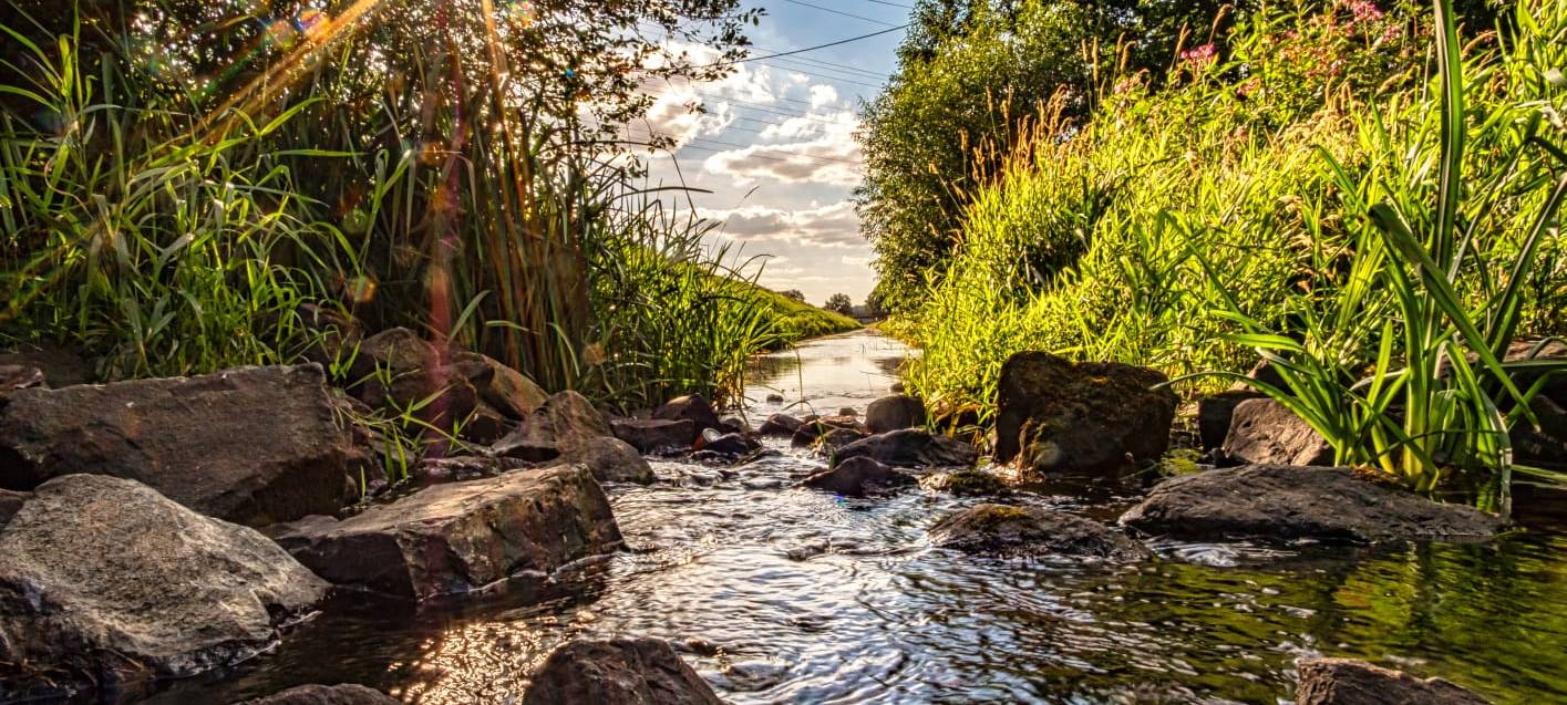 Zähe Umsetzung - Pläne für Hochwasserschutz an der Issel