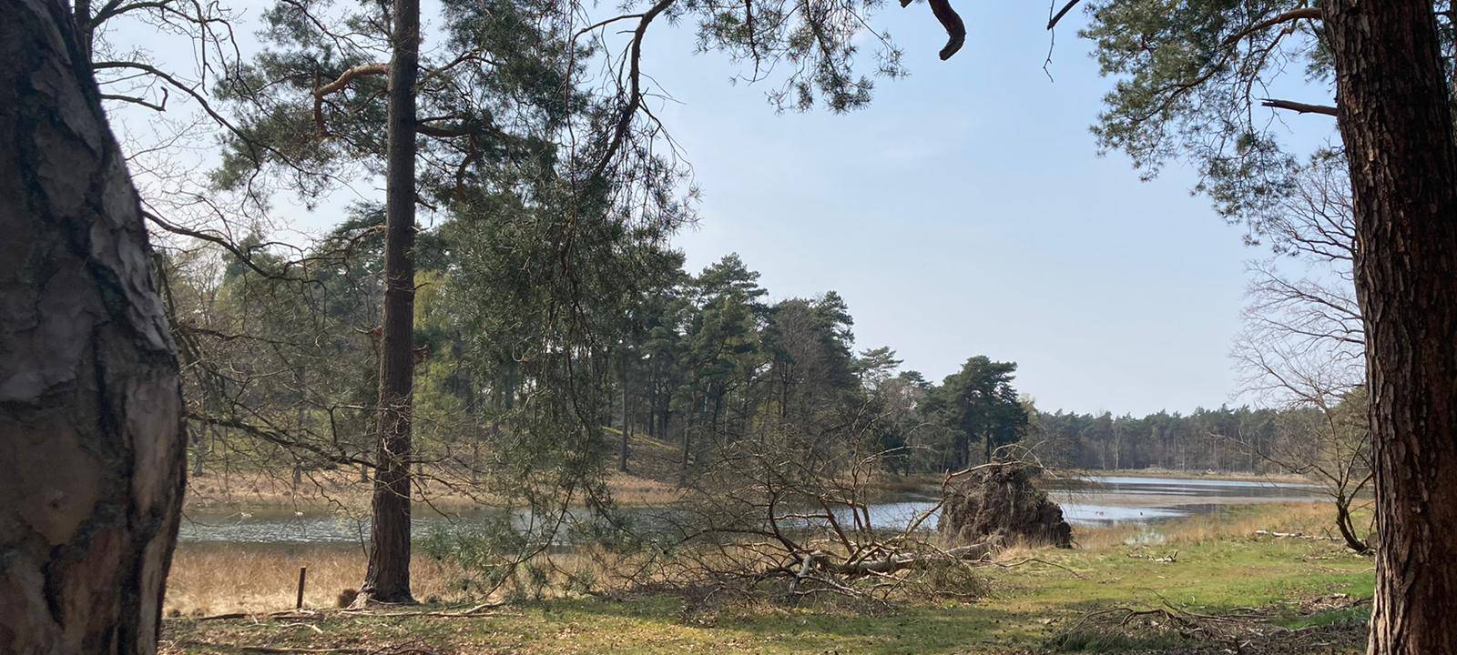 Kreis eher Ausnahme: Immer weniger Moore und Sümpfe in NRW