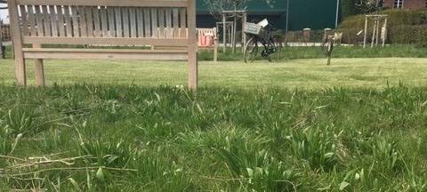 In Hamminkeln lädt neue Streuobstwiese zum Verweilen ein