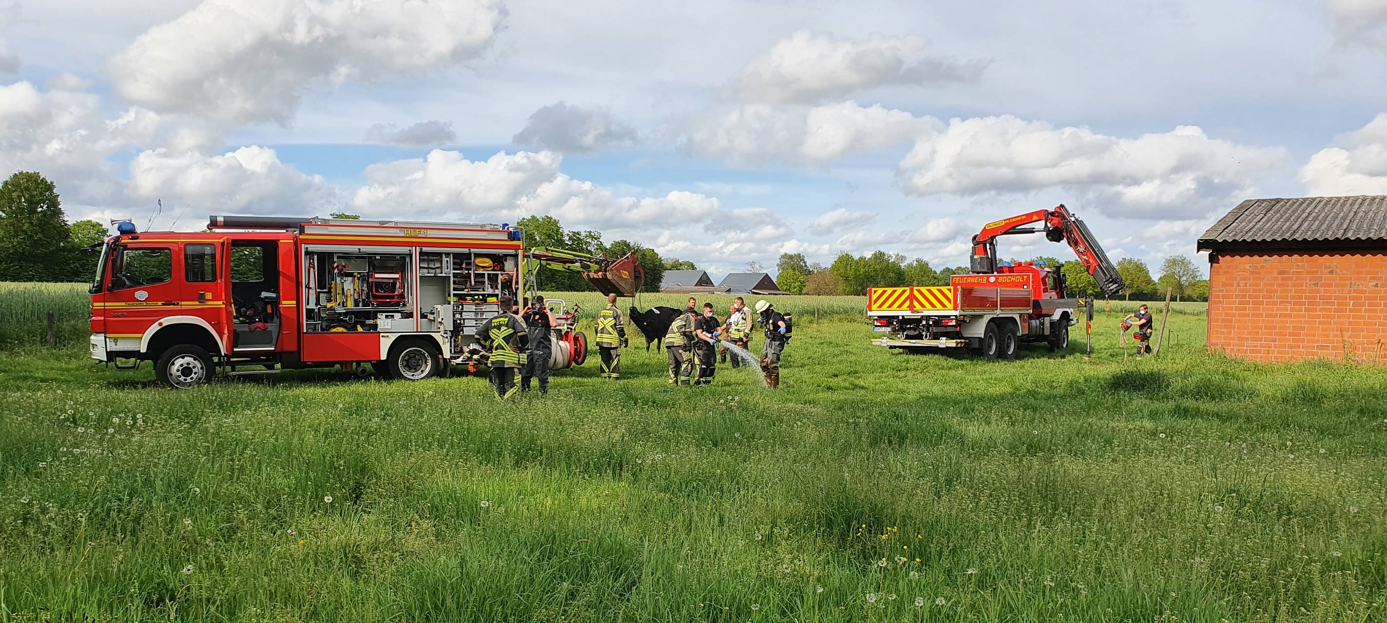 Bocholter Feuerwehr musste Kuh aus der Gülle retten