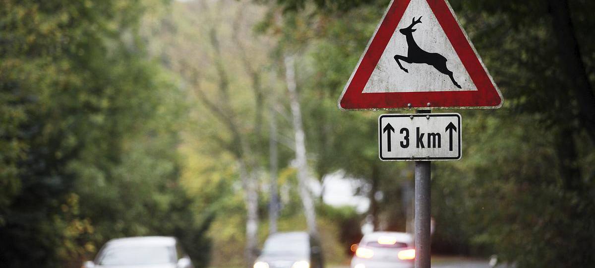 Schon über 110 Wildunfälle im Kreis Wesel seit August