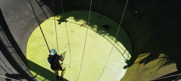 Feuerwehr in Xanten rettet Gans aus 5 Meter tiefem Klärbecken