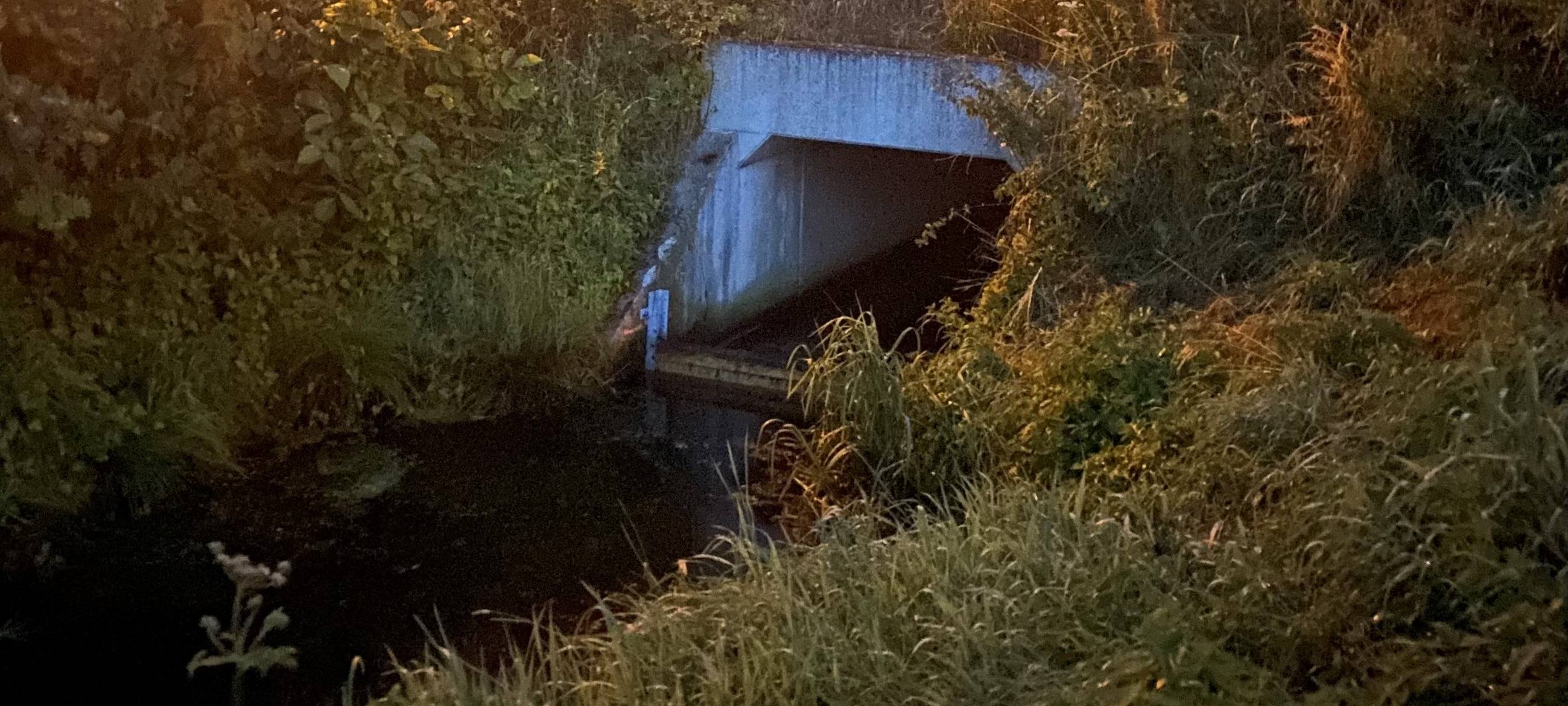 Damm in der Sonsbecker Ley: Biberpärchen sorgt für Probleme