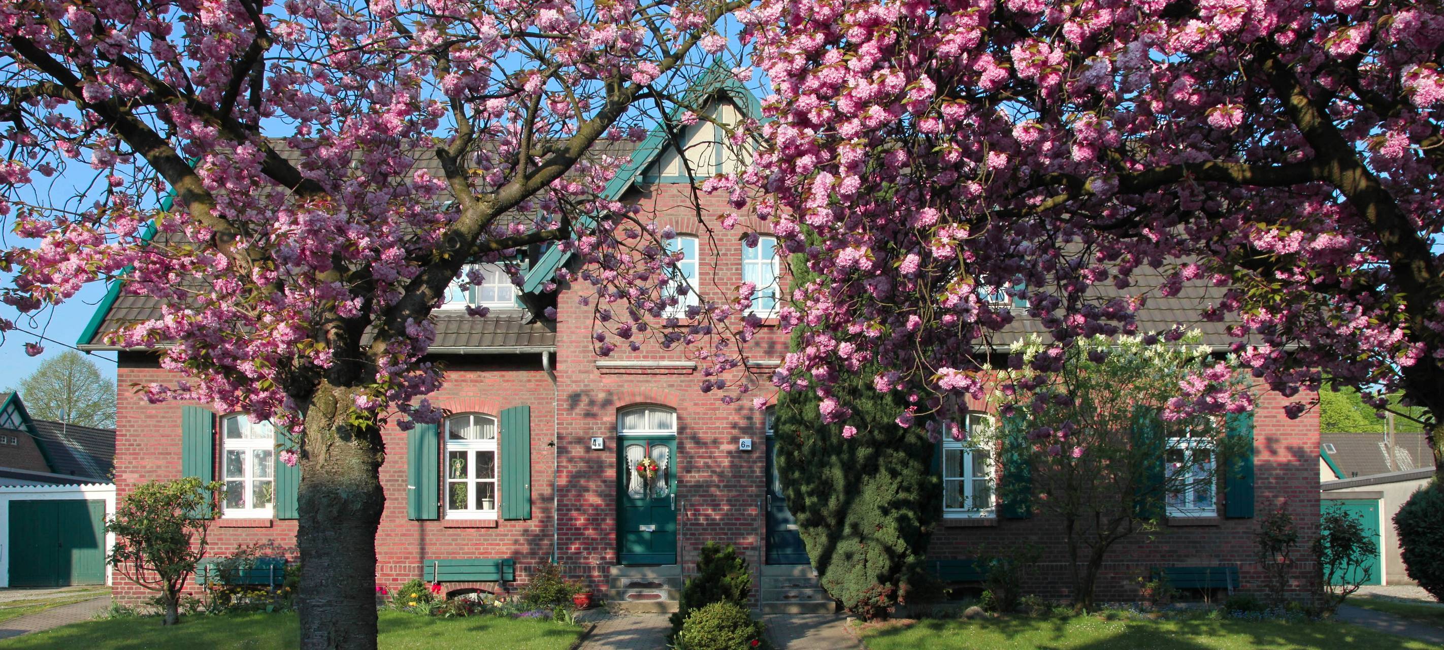 Abstimmung über Projekte in NRW