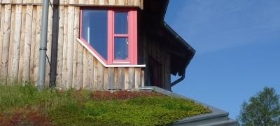 Rheinberg will mehr für das Klima tun