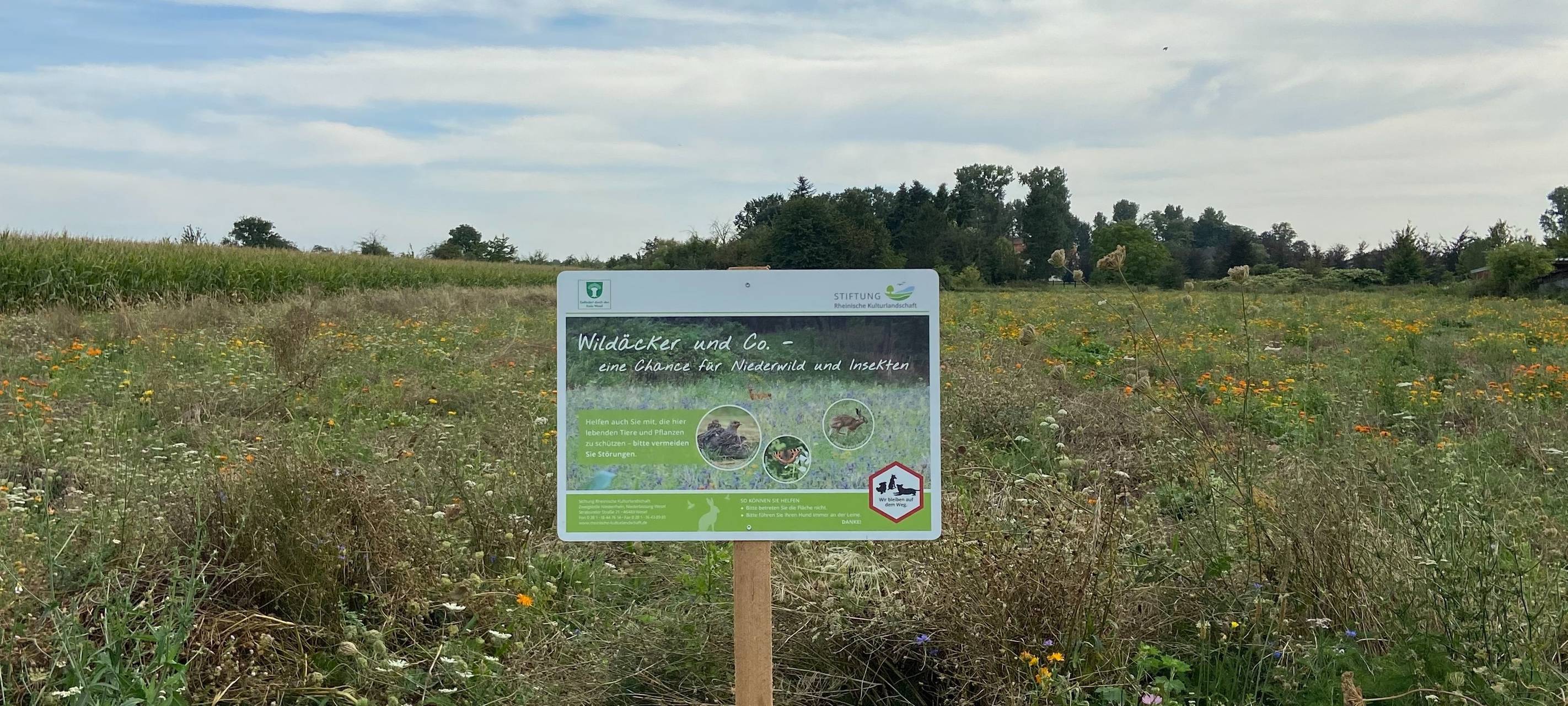 In Wesel-Büderich gibt es jetzt eine "Apotheke für Hasen"