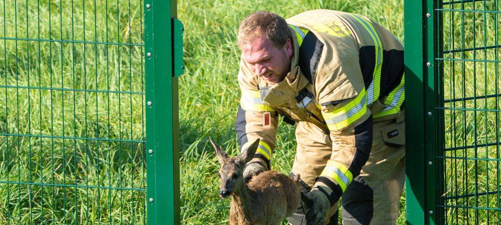 Reh in Xanten-Lüttingen aus Klärbecken gerettet