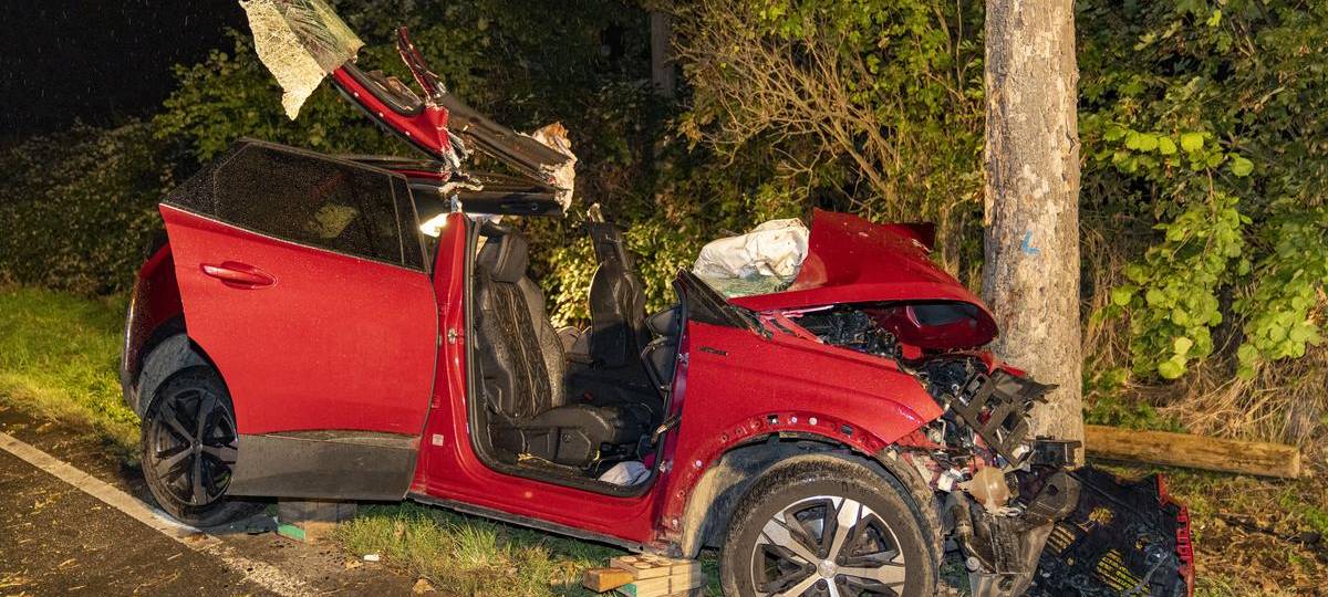 Reh durchschlägt Autoscheibe - Kamp-Lintforterin (51) nach Wildunfall schwer verletzt