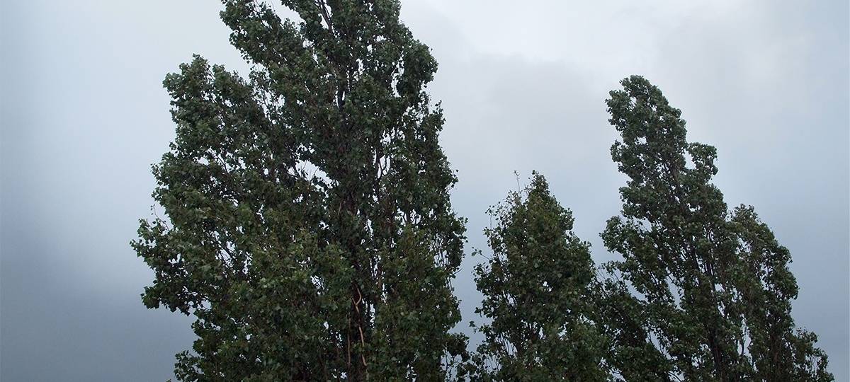 Sturmtief Ignatz fegt über den Niederrhein