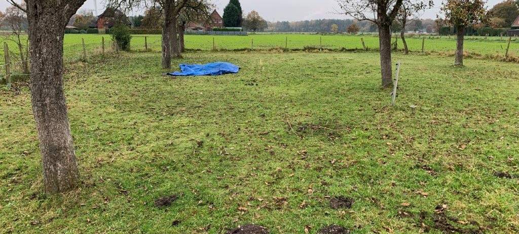 In Hünxe ist schon das vierte Pony gerissen worden