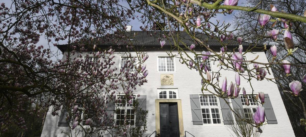 Der Offene Museumstag wächst weiter