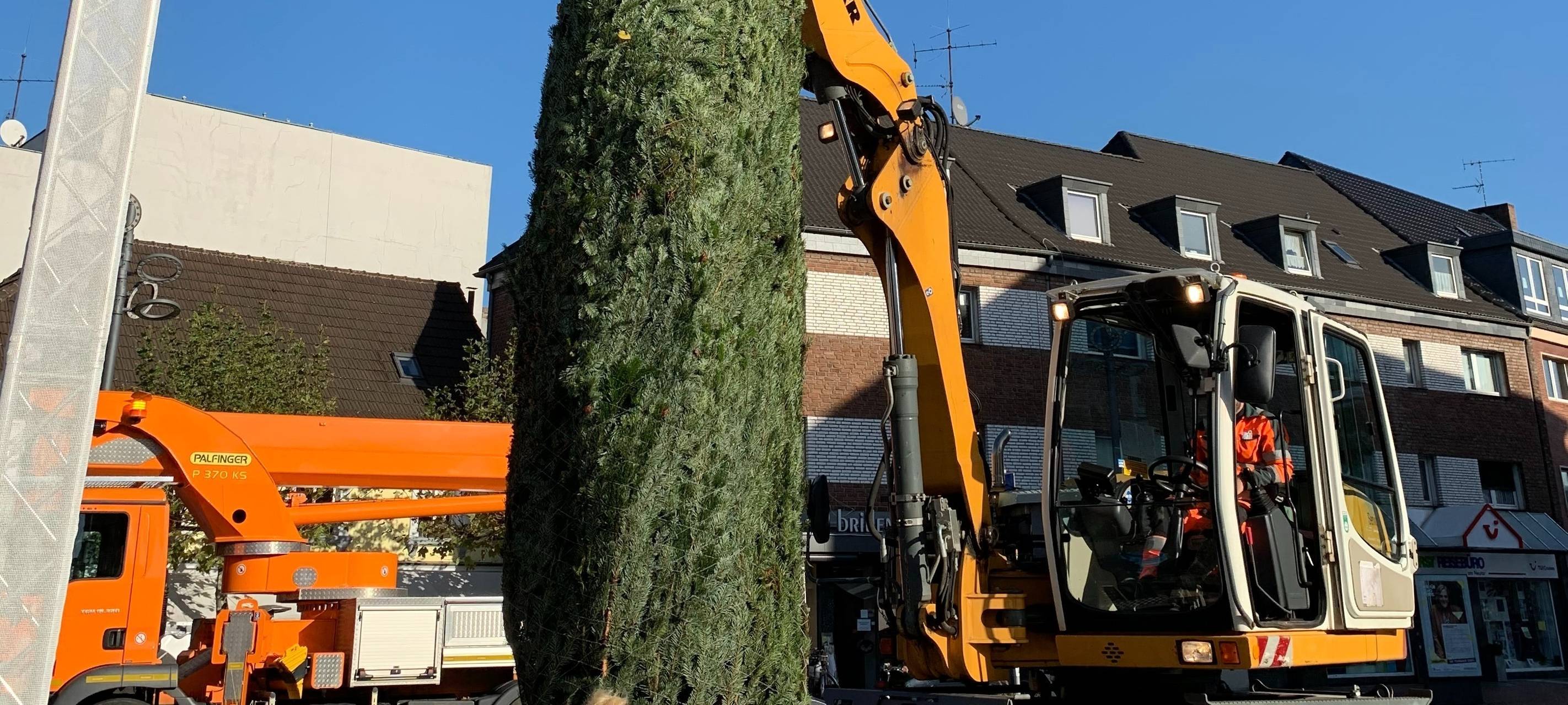 Dinslaken sägt die Tanne am Neutor ab - eine Neue steht schon