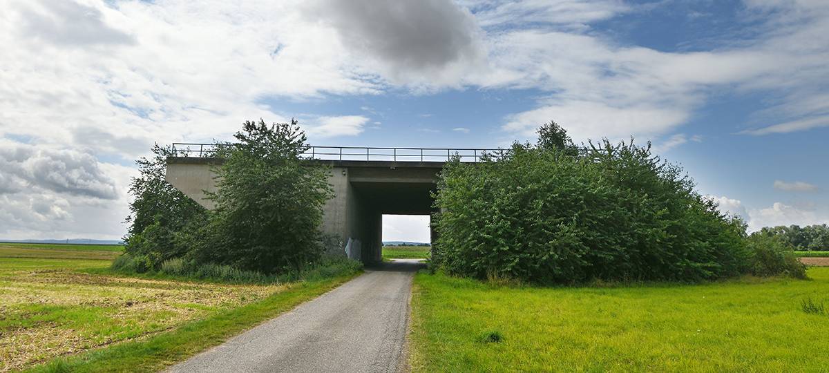 Bund der Steuerzahler: Hier werden in NRW Steuergelder verschwendet