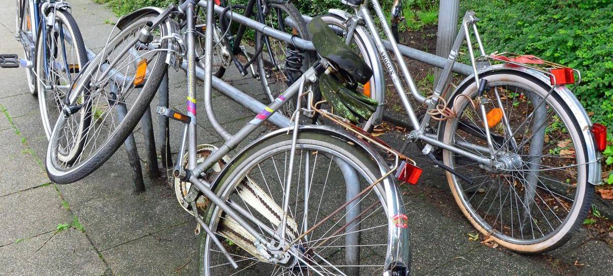 Über 7000 Kontrollen - Weseler Stadtwacht zieht Jahresbilanz