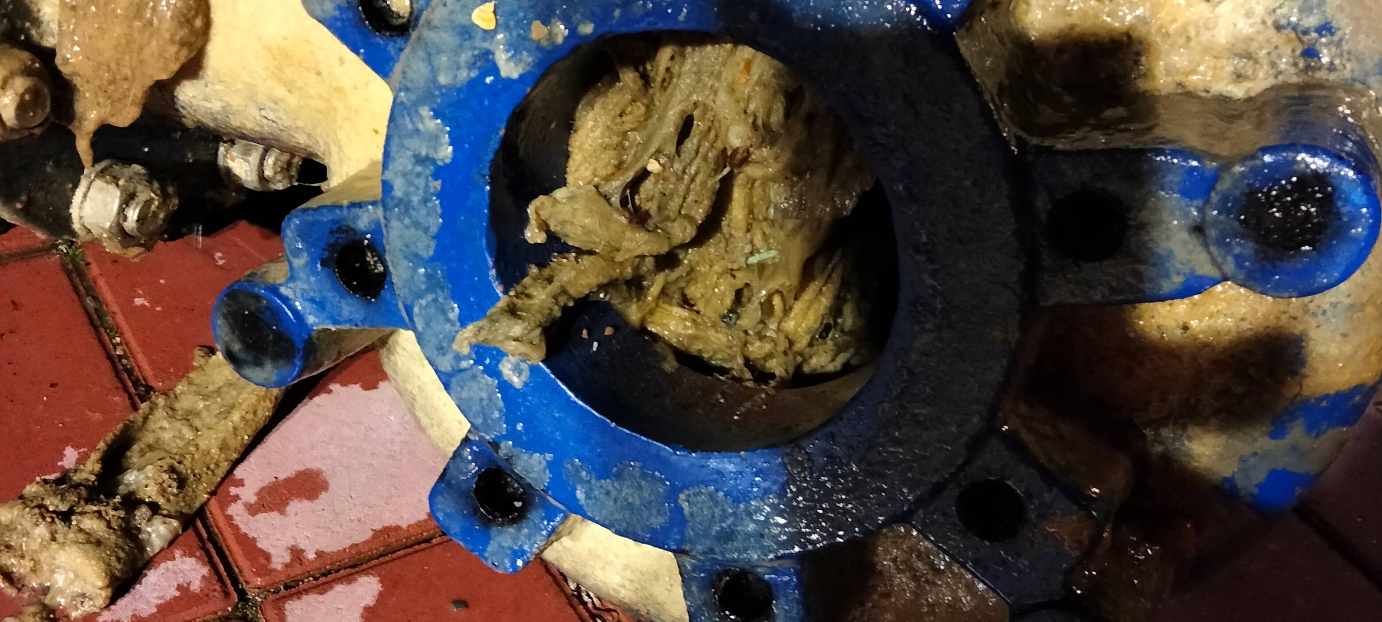 Unrat: Verstopfte Pumpstationen sorgen in Sonsbeck für Ärger