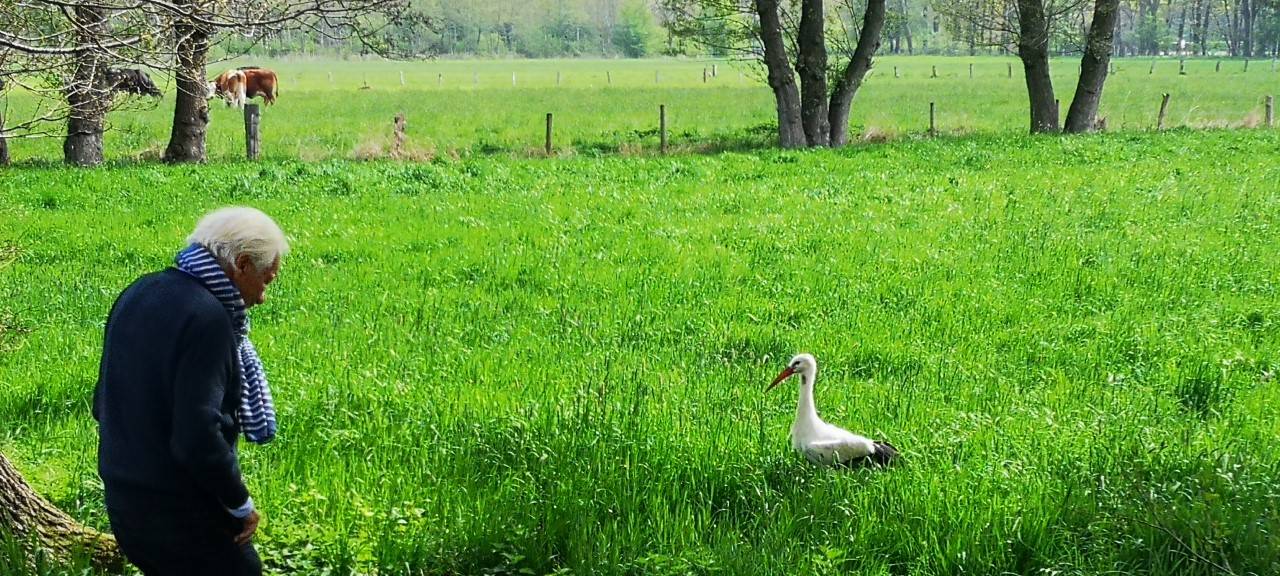 Der Vogelflüsterer tritt ab: "Buddy" Peschen hört auf