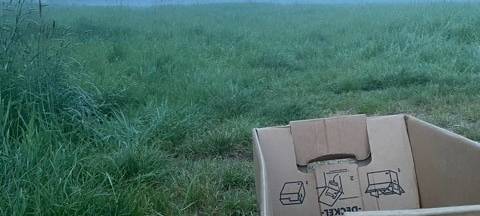 Kitzrettung Hamminkeln: Sie retten Bambis vor dem Mäher