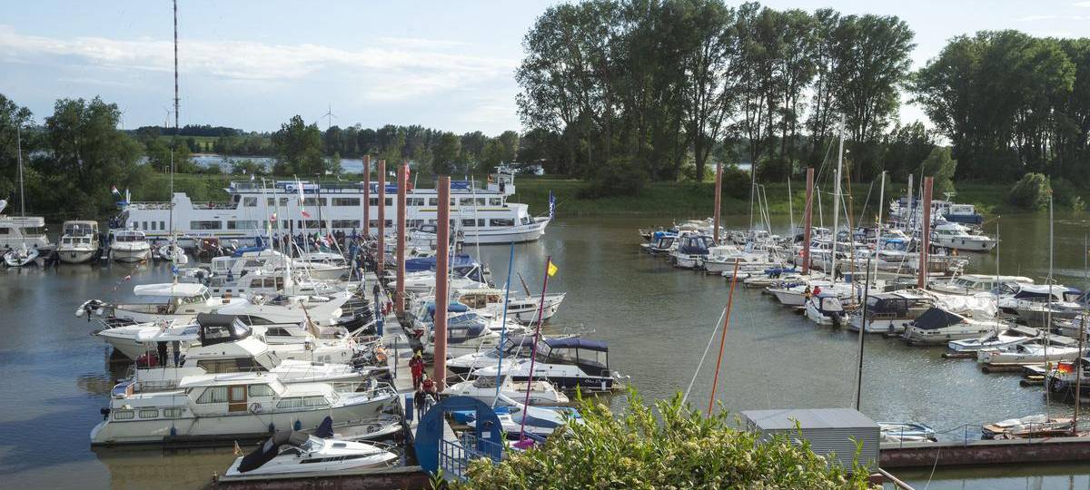 Wesel ist morgen Teil der Segel-Regatta "Rheinwoche"