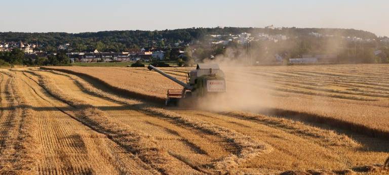 Die ersten Mähdrescher rollen: Die Ernte hat begonnen