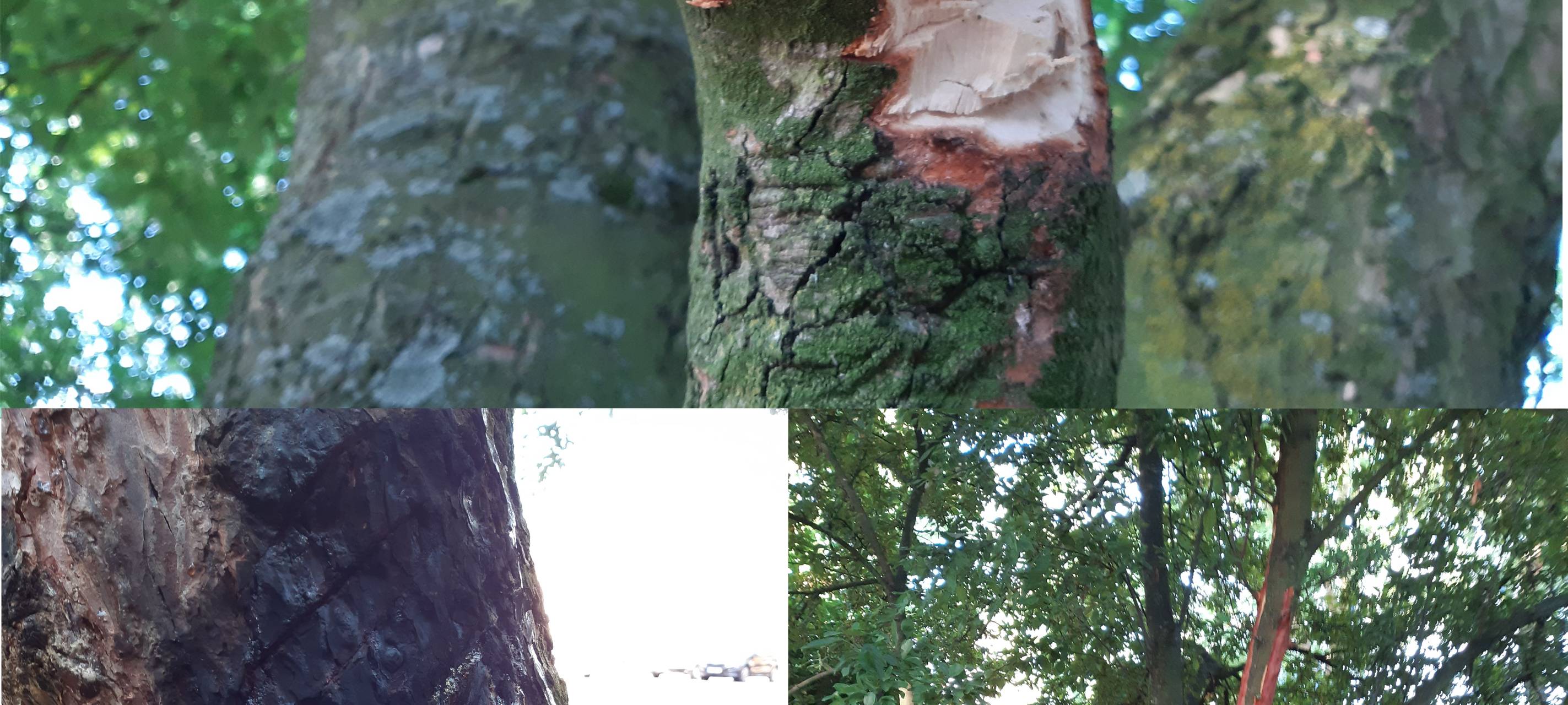 In Schermbeck und Rheinberg gab es wieder Vandalismus