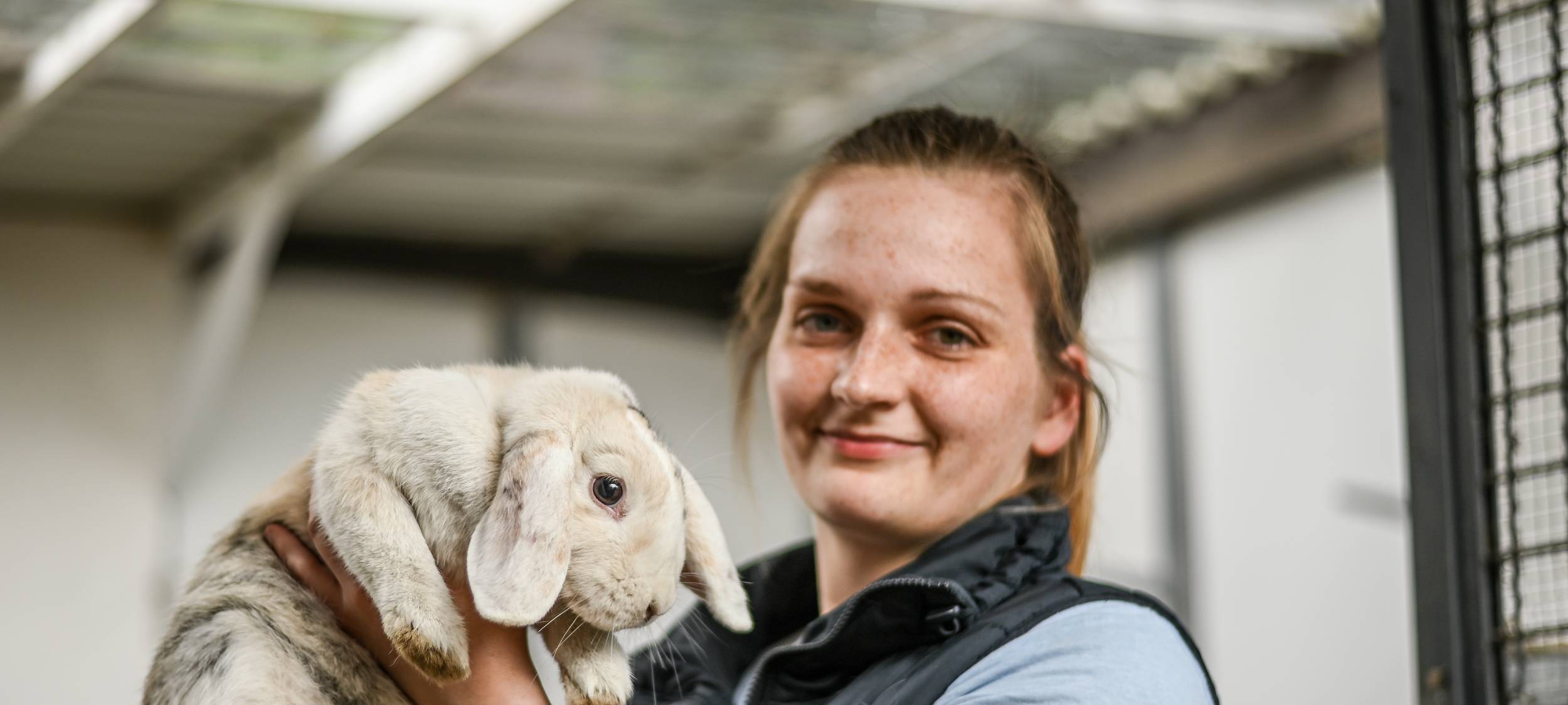 Tierheim Wesel warnt vor unüberlegten Käufen