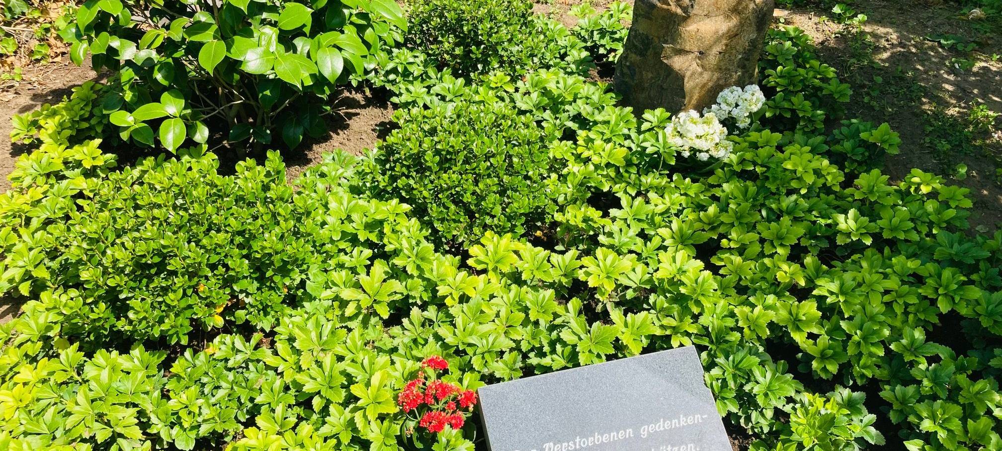 Drogenberatungen im Kreis erinnern an alte Wegbegleiter