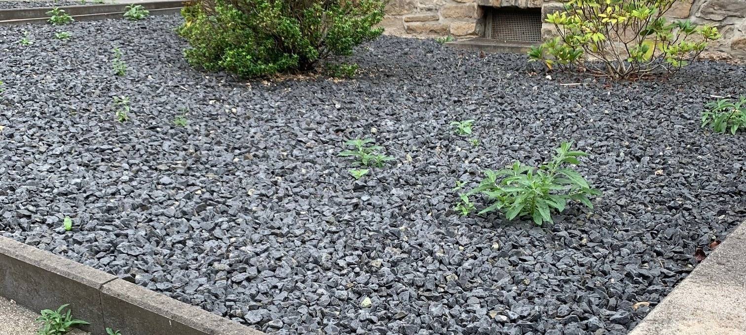 UBV in Dinslaken will Schottergärten verbieten