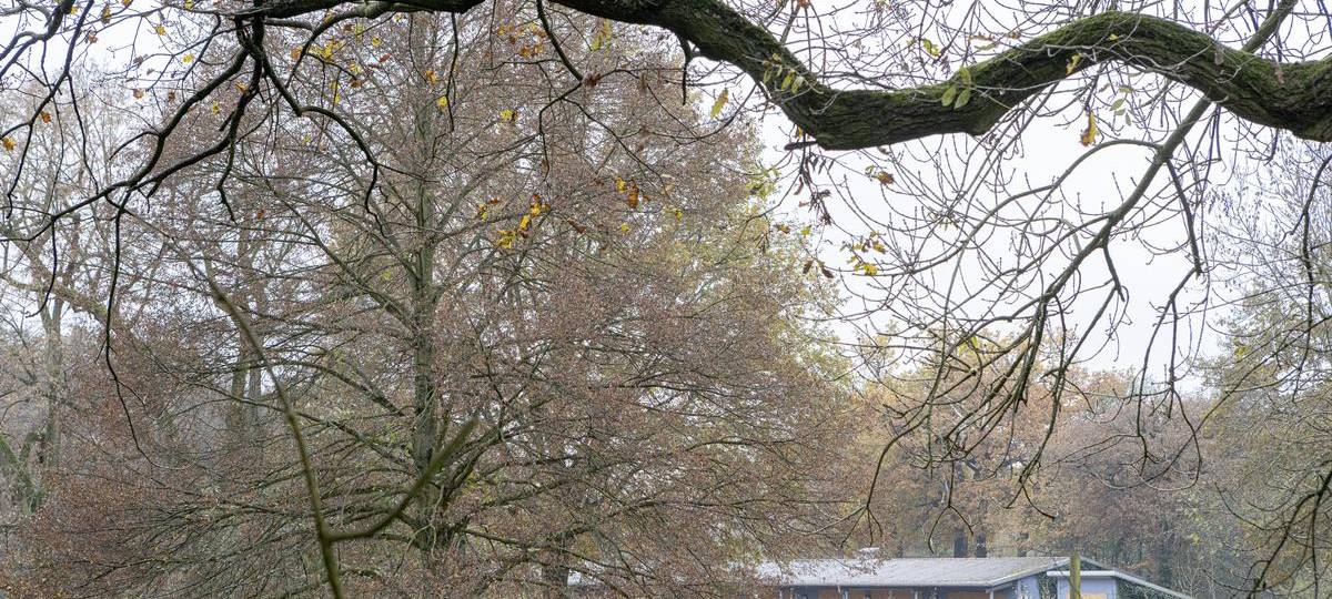 Freibad Hiesfeld: Umbau soll 3,2 Millionen Euro kosten