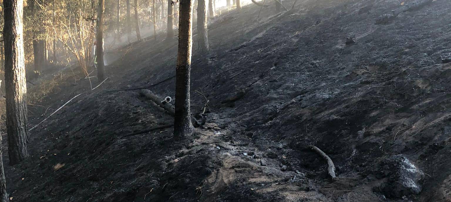 RVR besetzt wieder seine Wachtürme wegen Waldbrandgefahr