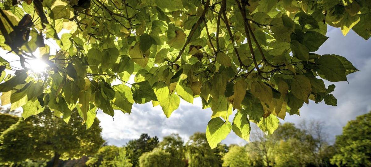 Umbauarbeiten im Moerser Freizeitpark werden deutlich teurer