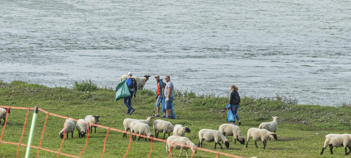 Organisatoren für "RhineCleanUp" im Kreis Wesel gesucht