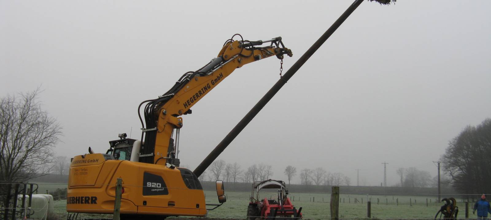 Erfolg beim Storchennachwuchs in Hünxe