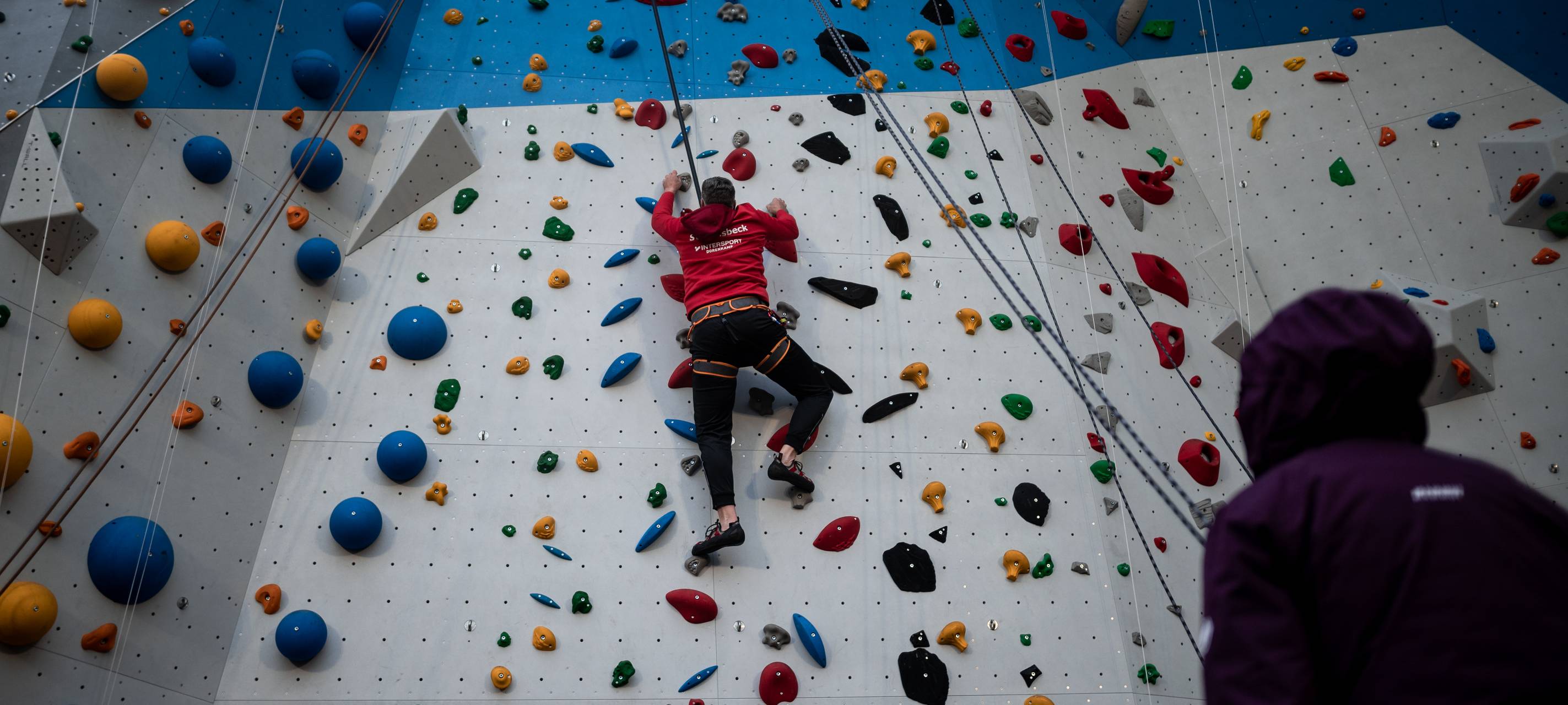 "Stern des Sports": Bundespräsident ehrt "Klimpansen"