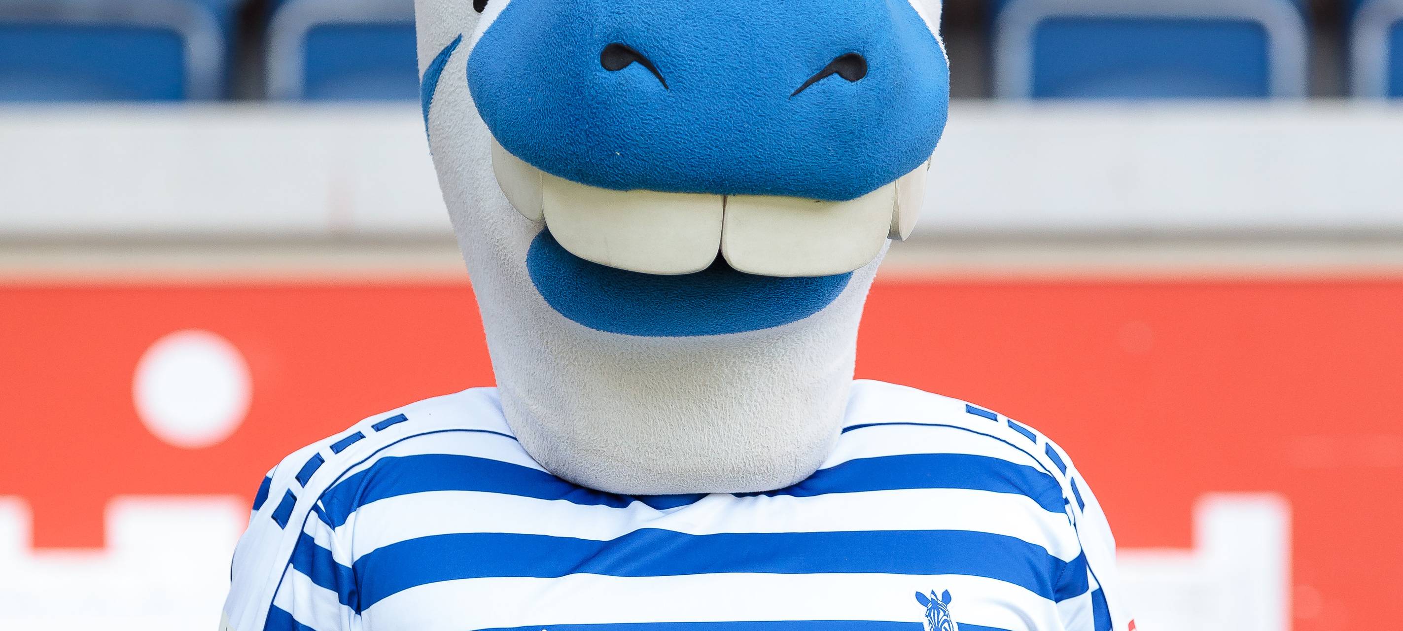 Niederrheinmuseum Wesel zeigt Geschichte des MSV Duisburg