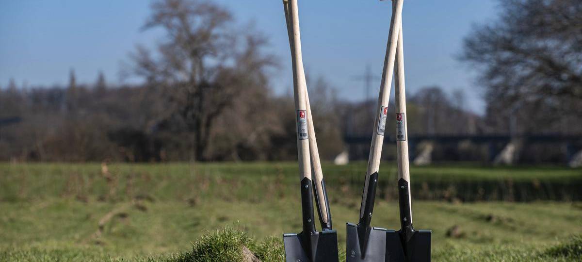 Städte im Kreis Wesel suchen Plätze für "Aktion Klimabäume"