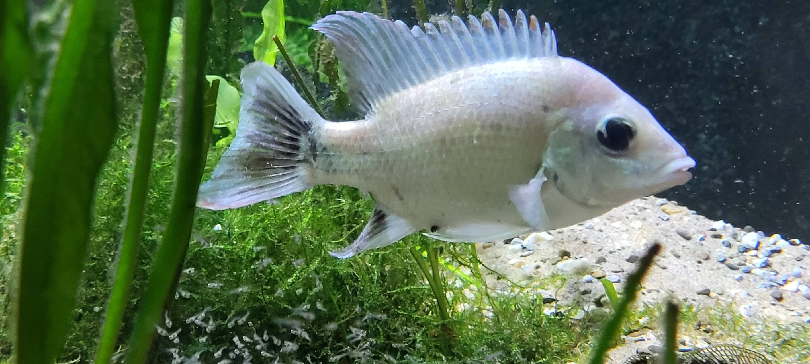Valentinstag im Zoo Duisburg: Führung mit der Taschenlampe