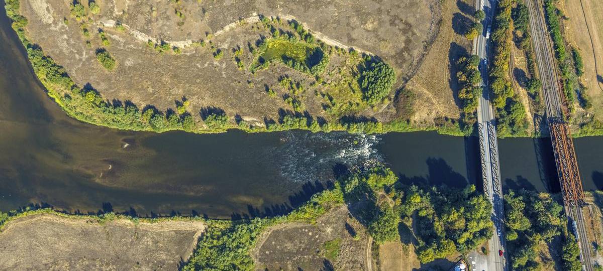Mehr Vögel und Fische dank Renaturierung der Lippe