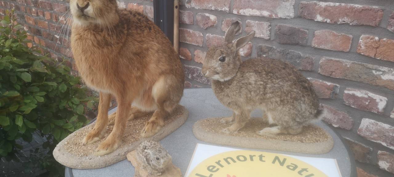 Jäger spenden 4200 Euro an die Aktion Lichtblicke