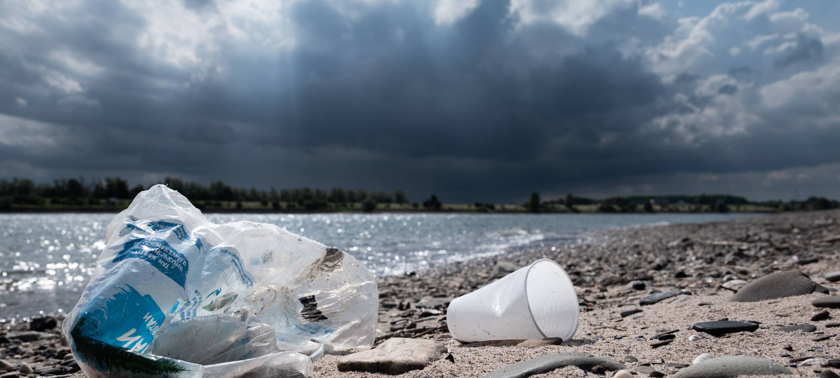 Deutsch-Niederländisches Projekt forscht zum Müll im Rhein
