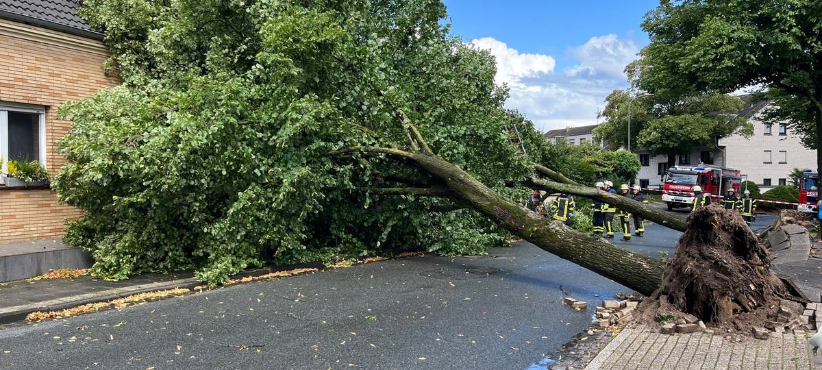 Entwurzelte Bäume und abgedeckte Dächer im Moerser Süden