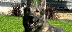 Drei Festnahmen nach Geldautomatensprengung in Alpen